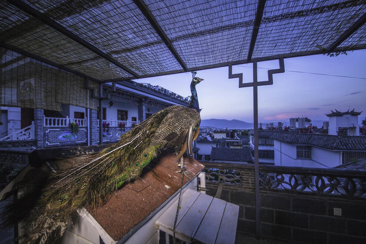 Yinfeng Hotel Dali  Bagian luar foto